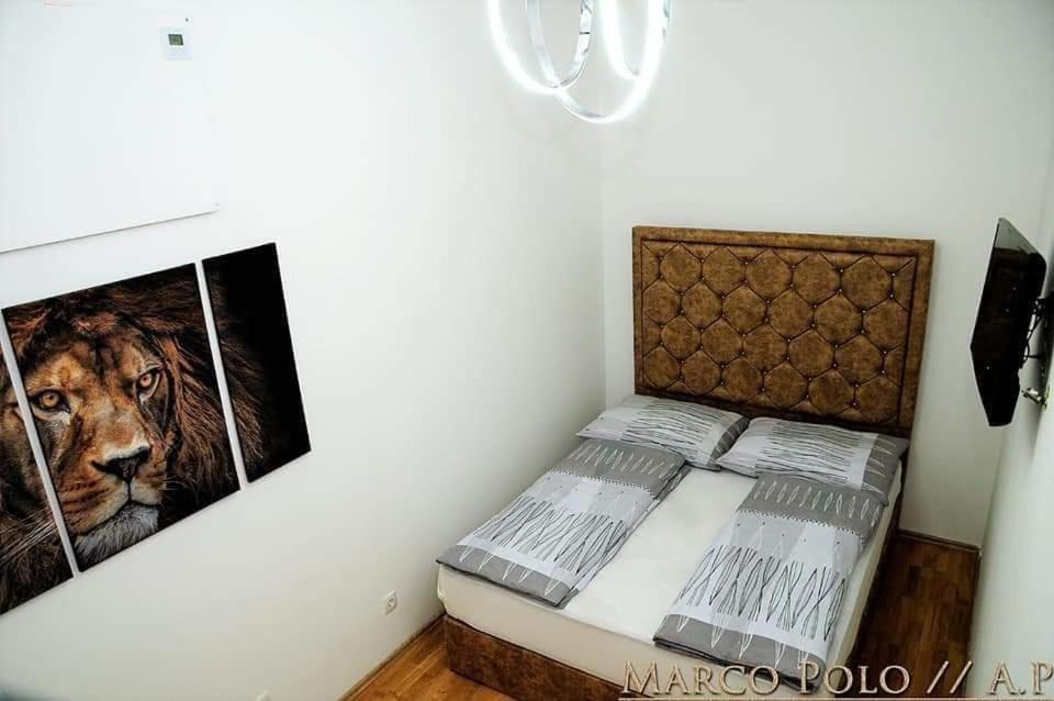Markopolo Apartments เวียนนา ภายนอก รูปภาพ